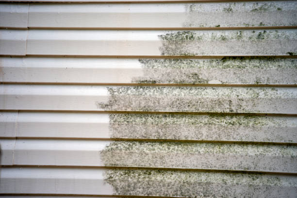 Best Property Management Cleanouts  in Laguna Beach, FL